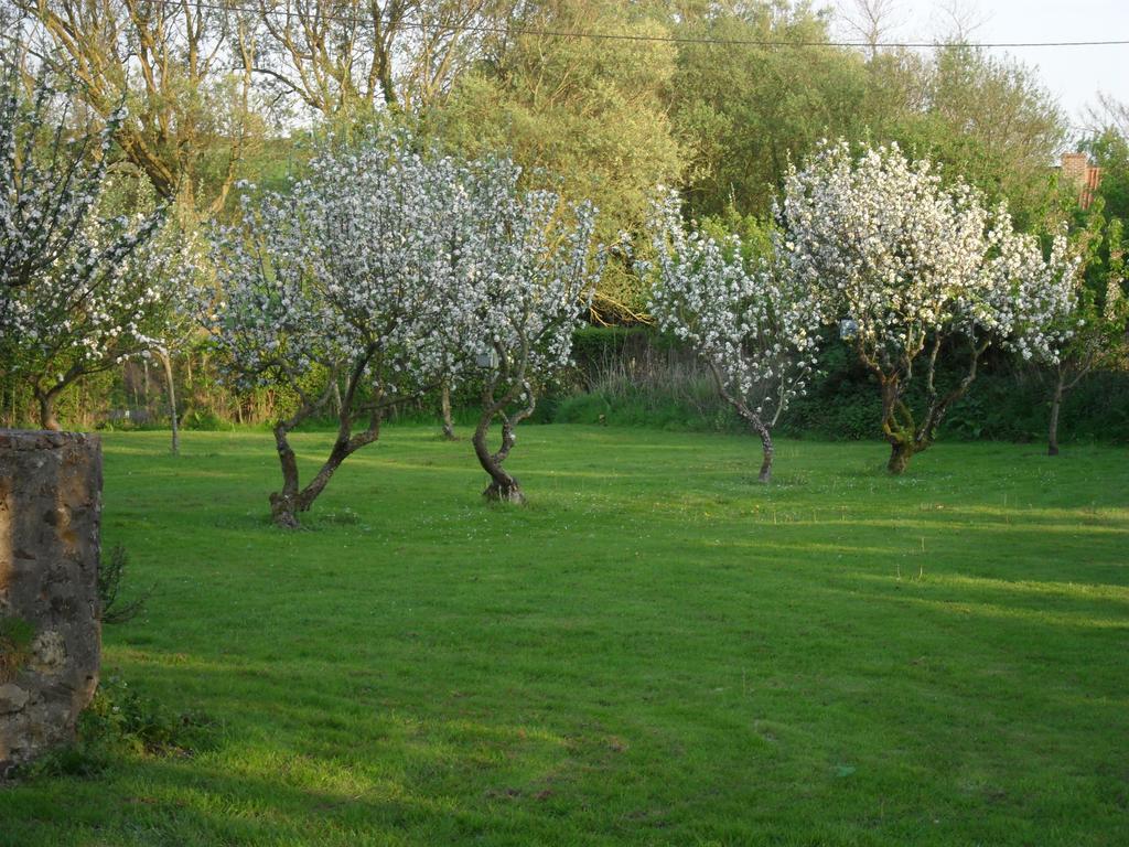 Domaine De La Ronville Wimereux Dış mekan fotoğraf